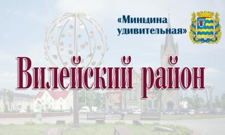 Вилейский район