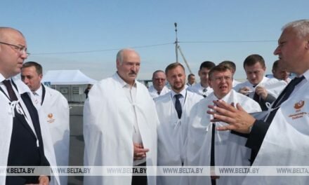 Лукашенко потребовал взять под жесткий контроль ситуацию с падежом скота