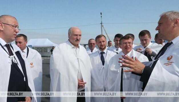 Лукашенко потребовал взять под жесткий контроль ситуацию с падежом скота