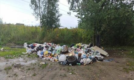 Стихийным свалкам не место на землях Смолевиччины