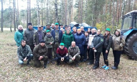 Чистый лес — наше богатство