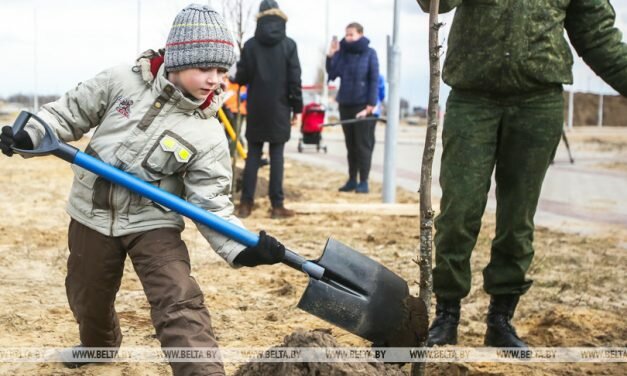 Республиканский субботник пройдет в Беларуси 17 апреля