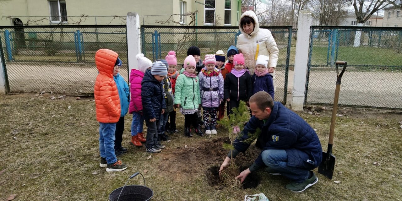 Маленькая помощь большому лесу