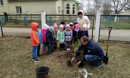 Маленькая помощь большому лесу