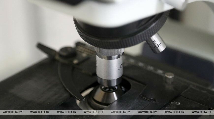 Проект по изучению иммунитета против COVID-19 стартовал в Беларуси