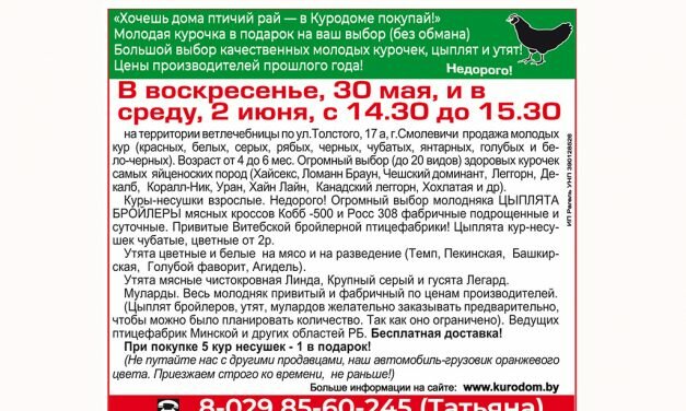 «ХОЧЕШЬ ДОМА ПТИЧИЙ РАЙ — В КУРОДОМЕ ПОКУПАЙ!»