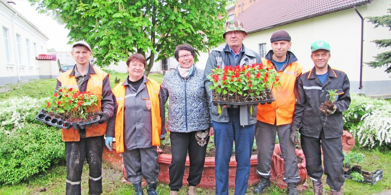 Городские цветы. Кто занимается оформлением клумб в Смолевичах?