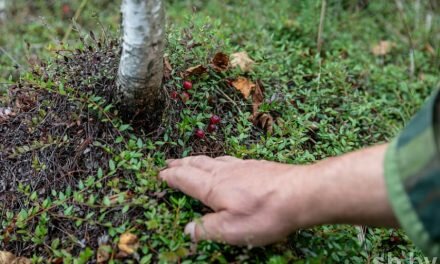 Смолевичская районная инспекция природных ресурсов и охраны окружающей среды обращается ко всем неравнодушным жителям нашего города, района, области!