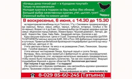 «ХОЧЕШЬ ДОМА ПТИЧИЙ РАЙ — В КУРОДОМЕ ПОКУПАЙ!»