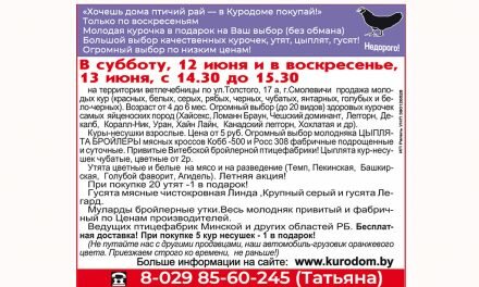 «ХОЧЕШЬ ДОМА ПТИЧИЙ РАЙ — В КУРОДОМЕ ПОКУПАЙ!»