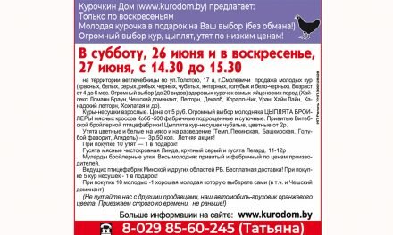 «ХОЧЕШЬ ДОМА ПТИЧИЙ РАЙ — В КУРОДОМЕ ПОКУПАЙ!»