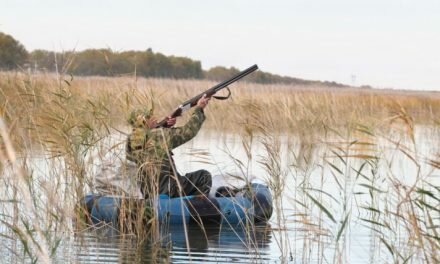 Открывается охота на водоплавающую и болотную дичь!