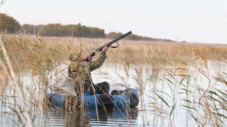 Открывается охота на водоплавающую и болотную дичь!