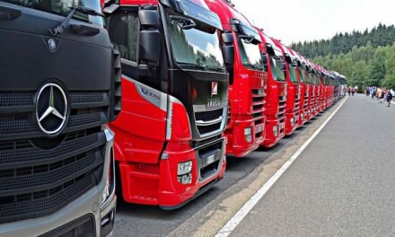 Более 3 тысяч водителей-международников проверено работниками Транспортной инспекции на территории Минской области за 3 месяца