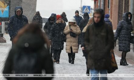 Депутат: важно, чтобы каждый гражданин почувствовал свою значимость при принятии обновленной Конституции