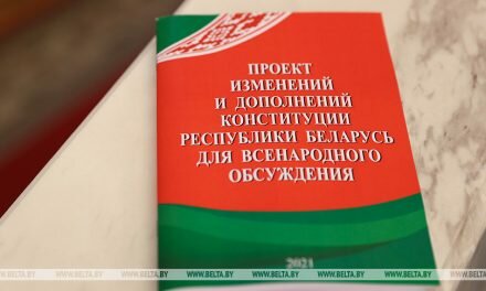 Следователи Гомельской области разъяснят новеллы проекта Конституции жителям отдаленных деревень