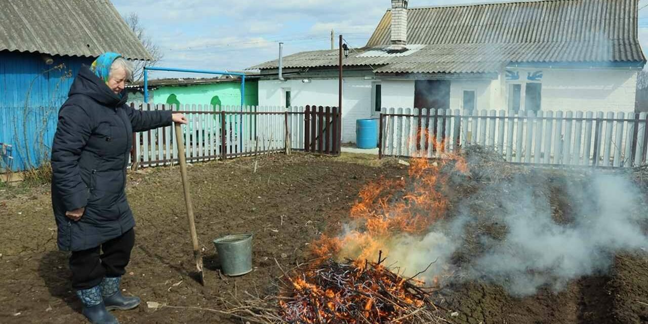 Как избежать пала травы?