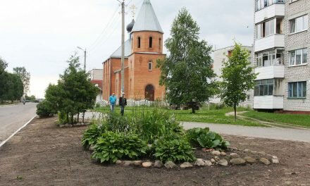 НАШ БОЛЬШОЙ ДОМ ДОЛЖЕН БЫТЬ ЧИСТЫМ И УЮТНЫМ